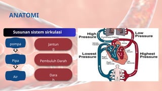 Susunan sistem sirkulasi
Susunan sistem sirkulasi
pompa
Pipa
Air
Pembuluh Darah
Jantun
g
Dara
h
ANATOMI
 