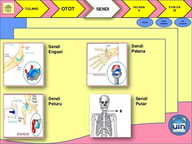 Ppt Show Sistem Gerak