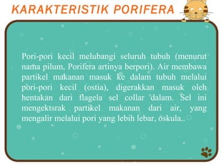 KARAKTERISTIK PORIFERA


 Pori-pori kecil melubangi seluruh tubuh (menurut
 nama pilum, Porifera artinya berpori). Air membawa
 partikel makanan masuk ke dalam tubuh melalui
 pori-pori kecil (ostia), digerakkan masuk oleh
 hentakan dari flagela sel collar dalam. Sel ini
 mengektsrak partikel makanan dari air, yang
 mengalir melalui pori yang lebih lebar, oskula..
 