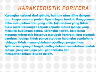 KARAKTERISTIK PORIFERA
Kerangka terbuat dari spikula, kalsium atau silika dengan
atau tanpa susunan protein tipe kolagen tanduk. Penggunaan
silika merupakan fitur yang unik. Jajaran luas yang tidak
biasa materi kerangka terjadi kepada spesies sponge yang
memiliki hubungan dekat. Kerangka hewan, baik keras
maupun hidrostatik biasanya merubah kontraksi otot menjadi
gerakan. Sponge, tidak punya otot dan kerangka pendukung
sehingga tidak memungkinkan terjadinya pergerakan.
Spikula mempunyai fungsi penting dalam menentukan bentuk
sponge, yang menjaga pori-pori terbuka dan
mempertahankan saluran dalam.
 