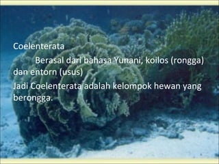 Coelenterata
      Berasal dari bahasa Yunani, koilos (rongga)
dan entorn (usus)
Jadi Coelenterata adalah kelompok hewan yang
berongga.
 