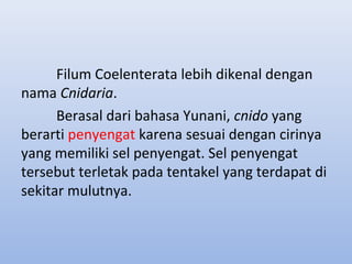 Filum Coelenterata lebih dikenal dengan
nama Cnidaria.
      Berasal dari bahasa Yunani, cnido yang
berarti penyengat karena sesuai dengan cirinya
yang memiliki sel penyengat. Sel penyengat
tersebut terletak pada tentakel yang terdapat di
sekitar mulutnya.
 