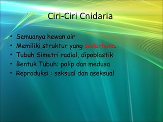 Ciri-Ciri Cnidaria
•   Semuanya hewan air
•   Memiliki struktur yang sederhana.
•   Tubuh Simetri radial, dipoblastik
•   Bentuk Tubuh: polip dan medusa
•   Reproduksi : seksual dan aseksual
 
