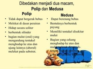 Dibedakan menjadi dua macam,
                  Polip dan Medusa
             Polip                Medusa
•   Tidak dapat bergerak bebas   • Dapat berenang bebas
•   Melekat di dasar perairan    • Bentuknya berbentuk
•   Hidup secara soliter           payung
•   berbentuk silinder           • Memiliki tentakel disekitar
•                                  mulut
    bagian mulut (oral) yang
    mengandung tentakel          • Bagian yang cekung
    menghadap ke atas dan          menghadap ke atas dan
    ujung lainnya (aboral)         mulut terletak di tengah-
    melekat pada substrat.         tengah bagian cembung
                                   yang menghadap ke bawah
 