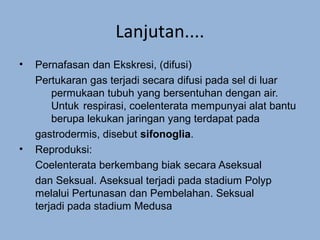 Lanjutan....
•   Pernafasan dan Ekskresi, (difusi)
    Pertukaran gas terjadi secara difusi pada sel di luar
        permukaan tubuh yang bersentuhan dengan air.
        Untuk respirasi, coelenterata mempunyai alat bantu
        berupa lekukan jaringan yang terdapat pada
    gastrodermis, disebut sifonoglia.
•   Reproduksi:
    Coelenterata berkembang biak secara Aseksual
    dan Seksual. Aseksual terjadi pada stadium Polyp
    melalui Pertunasan dan Pembelahan. Seksual
    terjadi pada stadium Medusa
 