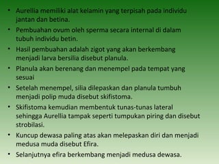 • Aurellia memiliki alat kelamin yang terpisah pada individu
  jantan dan betina.
• Pembuahan ovum oleh sperma secara internal di dalam
  tubuh individu betin.
• Hasil pembuahan adalah zigot yang akan berkembang
  menjadi larva bersilia disebut planula.
• Planula akan berenang dan menempel pada tempat yang
  sesuai
• Setelah menempel, silia dilepaskan dan planula tumbuh
  menjadi polip muda disebut skifistoma.
• Skifistoma kemudian membentuk tunas-tunas lateral
  sehingga Aurellia tampak seperti tumpukan piring dan disebut
  strobilasi.
• Kuncup dewasa paling atas akan melepaskan diri dan menjadi
  medusa muda disebut Efira.
• Selanjutnya efira berkembang menjadi medusa dewasa.
 