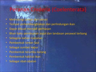 Peranan Cnideria (Coelenterata)
•   Melindungi pantai dari abrasi
•   Tempat perkembangbiakan dan perlindungan ikan
•   Dapat dibuat menjadi perhiasan
•   Bhan baku pembuatan aspal dan landasan pesawat terbang
•   Sebagaia bahan makanan
•   Pembentuk taman laut
•   Sebagai sumber kapur
•   Pembentuk terumbu karang
•   Pembentuk habitat ikan
•   Sebagai obat-obatan
 