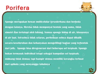 Porifera
                   PORIFERA
Sponge merupakan hewan multicelular tersederhana dan berbeda

dengan lainnya. Mereka tidak mempunyai bentuk yang sama, tidak

simetri dan tertutupi oleh lubang. Semua sponge hidup di air, khususnya

di air laut. Sel-selnya tidak selaras, perbedaan selnya dapat dibalik

secara keseluruhan dan kebanyakan mengelilingi bagian yang terbentuk

dari jelly. Sponge bisa diregenerasi dari beberapa sel terpisah. Sponge

bukan termasuk individual tetapi sebagai kumpulan sel terpisah;

memang tidak semua; tapi hampir semua memiliki kerangka terbuat

dari spikula yang menyangga tubuhnya.
 