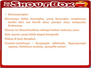  Demospongiae
Umumnya tidak berangka, yang berangka rangkanya
  terdiri dari zat kersik atau spongin atau campuran
  keduanya.
Hewan ini dimanfaatkan sebagai bahan industry spon.
Ada species yang tidak dapat bergerak.
Hidup di laut dangkal.
Contoh-contohnya : Euspongia officinalis, Hypospongia
  equine, Haliclona oculata, spongilla corteri
 