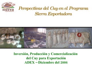 Perspectivas del Cuy en el Programa Sierra Exportadora Inversión, Producción y Comercialización  del Cuy para Exportación ADEX – Diciembre del 2006 