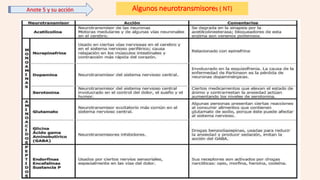 Algunos neurotransmisores ( NT)
Anote 5 y su acción
 