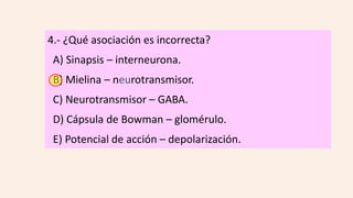 4.- ¿Qué asociación es incorrecta?
A) Sinapsis – interneurona.
B) Mielina – neurotransmisor.
C) Neurotransmisor – GABA.
D) Cápsula de Bowman – glomérulo.
E) Potencial de acción – depolarización.
 