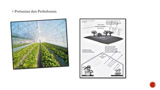  Pertanian dan Perkebunan 
 
