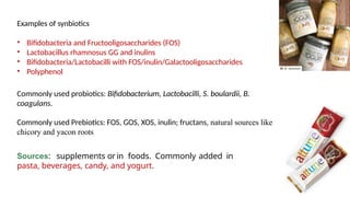 Synbiotics Examples Comprehensive Overview of Synbiotics: Probiotics, Prebiotics, and Gut ...