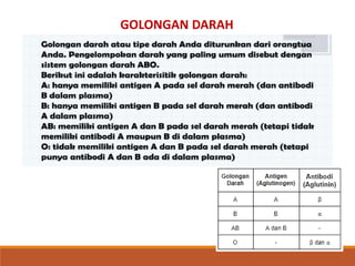 GOLONGAN DARAH
 