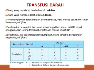 Orang yang mendapat darah disebut resipien
Orang yang memberi darah disebut donor.
Pengelompokkan darah dengan sistem Rhesus, yaitu rhesus positif (Rh+) dan
rhesus negatif (Rh).
Berdasarkan sistem ini, jika darah seseorang diberi serum anti Rh terjadi
penggumpalan, orang tersebut bergolongan rhesus positif (Rh+).
Sebaliknya, jika tidak terjadi penggumpalan, orang tersebut bergolongan
rhesus negatif (Rh-).
TRANSFUSI DARAH
 