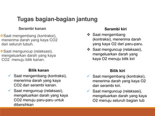 Tugas bagian-bagian jantung
Serambi kanan
Saat mengembang (kontraksi),
menerima darah yang kaya CO2
dari seluruh tubuh.
Saat menguncup (relaksasi),
mengeluarkan darah yang kaya
CO2 menuju bilik kanan.
Serambi kiri
 Saat mengembang
(kontraksi), menerima darah
yang kaya O2 dari paru-paru.
 Saat menguncup (relaksasi),
mengeluarkan darah yang
kaya O2 menuju bilik kiri
Bilik kanan
 Saat mengembang (kontraksi),
menerima darah yang kaya
CO2 dari serambi kanan.
 Saat menguncup (relaksasi),
mengeluarkan darah yang kaya
CO2 menuju paru-paru untuk
dibersihkan
Bilik kiri
 Saat mengembang (kontraksi),
menerima darah yang kaya O2
dari serambi kiri.
 Saat menguncup (relaksasi),
mengeluarkan darah yang kaya
O2 menuju seluruh bagian tub
 