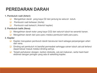 PEREDARAN DARAH
1. Pembuluh nadi (Arteri)
 Mengalirkan darah yang kaya O2 dari jantung ke seluruh tubuh.
 Pembuluh nadi terbesar (Aorta)
 Pembuluh nadi terkecil ( Arteriol/ kapiler)
2. Pembuluh balik (Vena)
 Mengalirkan darah kotor yang kaya CO2 dari seluruh tubuh ke serambi kanan.
 Mengalirkan darah dari paru-paru melalui pembuluh balik paru-paru.
3. Kapiler
 Kapiler merupakan pembuluh darah berukuran kecil sebagai perpanjangan arteri
dan vena.
 Dinding sel pembuluh ini bersifat permeabel sehingga cairan tubuh zat-zat terlarut
dapat keluar masuk melalui dinding selnya.
 Terjadi pertukaran oksigen, karbon dioksida, zat-zat makanan, serta hasil-hasil
ekskresi dengan jaringan yang ada di sekeliling kapiler.
 