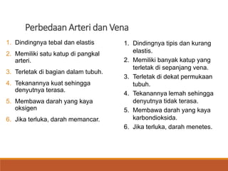 Perbedaan Arteri dan Vena
1. Dindingnya tebal dan elastis
2. Memiliki satu katup di pangkal
arteri.
3. Terletak di bagian dalam tubuh.
4. Tekanannya kuat sehingga
denyutnya terasa.
5. Membawa darah yang kaya
oksigen
6. Jika terluka, darah memancar.
1. Dindingnya tipis dan kurang
elastis.
2. Memiliki banyak katup yang
terletak di sepanjang vena.
3. Terletak di dekat permukaan
tubuh.
4. Tekanannya lemah sehingga
denyutnya tidak terasa.
5. Membawa darah yang kaya
karbondioksida.
6. Jika terluka, darah menetes.
 