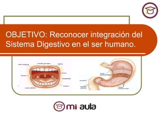 OBJETIVO: Reconocer integración del
Sistema Digestivo en el ser humano.
 