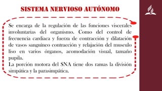 Sna Visual ppt sistema nervioso periferico psicologia | PDF