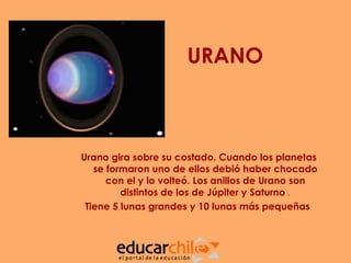 URANO



Urano gira sobre su costado. Cuando los planetas
   se formaron uno de ellos debió haber chocado
      con el y lo volteó. Los anillos de Urano son
         distintos de los de Júpiter y Saturno .
 Tiene 5 lunas grandes y 10 lunas más pequeñas
 