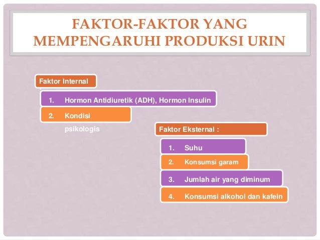 Sebutkan Faktor Faktor Yang Mempengaruhi Produksi Urine Manusia