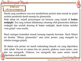 Apa akibatnya jika sisa-sisa metabolisme tidak dikeluarkan dari tubuh