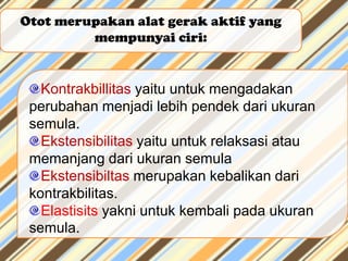 Otot merupakan alat gerak aktif yang
mempunyai ciri:

Kontrakbillitas yaitu untuk mengadakan
perubahan menjadi lebih pendek dari ukuran
semula.
Ekstensibilitas yaitu untuk relaksasi atau
memanjang dari ukuran semula
Ekstensibiltas merupakan kebalikan dari
kontrakbilitas.
Elastisits yakni untuk kembali pada ukuran
semula.

 