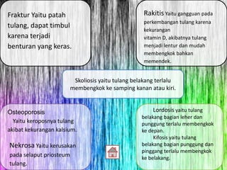 Fraktur Yaitu patah
tulang, dapat timbul
karena terjadi
benturan yang keras.

Rakitis Yaitu gangguan pada
perkembangan tulang karena
kekurangan
vitamin D, akibatnya tulang
menjadi lentur dan mudah
membengkok bahkan
memendek.

Skoliosis yaitu tulang belakang terlalu
membengkok ke samping kanan atau kiri.

Osteoporosis
Yaitu keroposnya tulang
akibat kekurangan kalsium.

Nekrosa Yaitu kerusakan
pada selaput priosteum
tulang.

Lordosis yaitu tulang
belakang bagian leher dan
punggung terlalu membengkok
ke depan.
Kifosis yaitu tulang
belakang bagian punggung dan
pinggang terlalu membengkok
ke belakang.

 