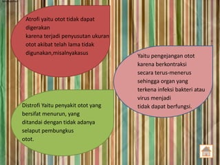 kelumpuhan

Atrofi yaitu otot tidak dapat
digerakan
karena terjadi penyusutan ukuran
otot akibat telah lama tidak
digunakan,misalnyakasus

Distrofi Yaitu penyakit otot yang
bersifat menurun, yang
ditandai dengan tidak adanya
selaput pembungkus
otot.

Yaitu pengejangan otot
karena berkontraksi
secara terus-menerus
sehingga organ yang
terkena infeksi bakteri atau
virus menjadi
tidak dapat berfungsi.

 