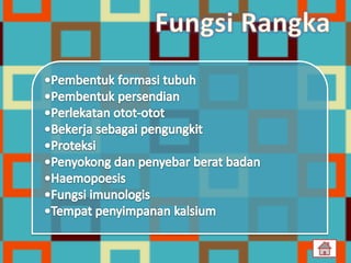 sistem gerak pada manusia 