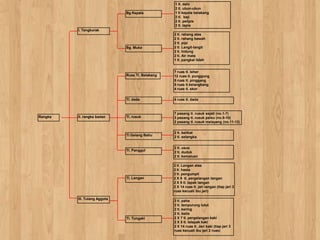 Bg Kepala

1 tl. dahi
2 tl. ubun-ubun
1 tl kepala belakang
2 tl. baji
2 tl. pelipis
2 tl. tapis

I. Tengkorak

Bg. Muka

Ruas Tl. Belakang

2 tl. rahang atas
2 tl. rahang bawah
2 tl. pipi
2 tl. Langit-langit
2 tl. hidung
2 tl. Air mata
1 tl. pangkal lidah
7 ruas tl. leher
12 ruas tl. punggung
5 ruas tl. pinggang
5 ruas tl.kelangkang
4 ruas tl. ekor

Tl. dada

Rangka

Tl. rusuk

7 pasang tl. rusuk sejati (no.1-7)
3 pasang tl. rusuk palsu (no.8-10)
2 pasang tl. rusuk melayang (no.11-12)

Tl Gelang Bahu

II. rangka badan

4 ruas tl. dada

2 tl. belikat
2 tl. selangka

Tl. Panggul

Tl. Lengan

III. Tulang Aggota

Tl. Tungaki

2 tl. usus
2 tl. duduk
2 tl. kemaluan
2 tl. Lengan atas
2 tl. hasta
2 tl. pengumpil
2 X 8 tl. pergelangan tangan
2 X 5 tl. tapak tangan
2 X 14 ruas tl. jari tangan (tiap jari 3
ruas kecuali ibu jari)
2 tl. paha
2 tl. tempurung lutut
2 tl. kering
2 tl. betis
2 X 7 tl. pergelangan kaki
2 X 5 tl. telapak kaki
2 X 14 ruas tl. Jari kaki (tiap jari 3
ruas kecuali ibu jari 2 ruas)

 