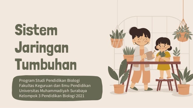 Sistem
Jaringan
Tumbuhan
Program Studi Pendidikan Biologi
Fakultas Keguruan dan Ilmu Pendidikan
Universitas Muhammadiyah Surabaya
Kelompok 3 Pendidikan Biologi 2021
 
