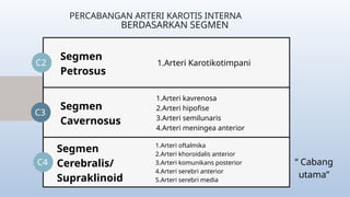 PPT Sistem Karoti.pptxgderfwrshuhiovguohghvi | PPTX