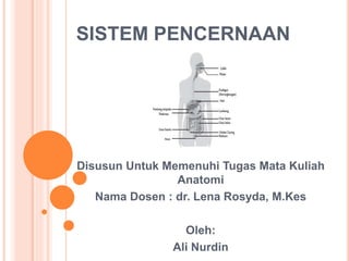 SISTEM PENCERNAAN
Disusun Untuk Memenuhi Tugas Mata Kuliah
Anatomi
Nama Dosen : dr. Lena Rosyda, M.Kes
Oleh:
Ali Nurdin
 