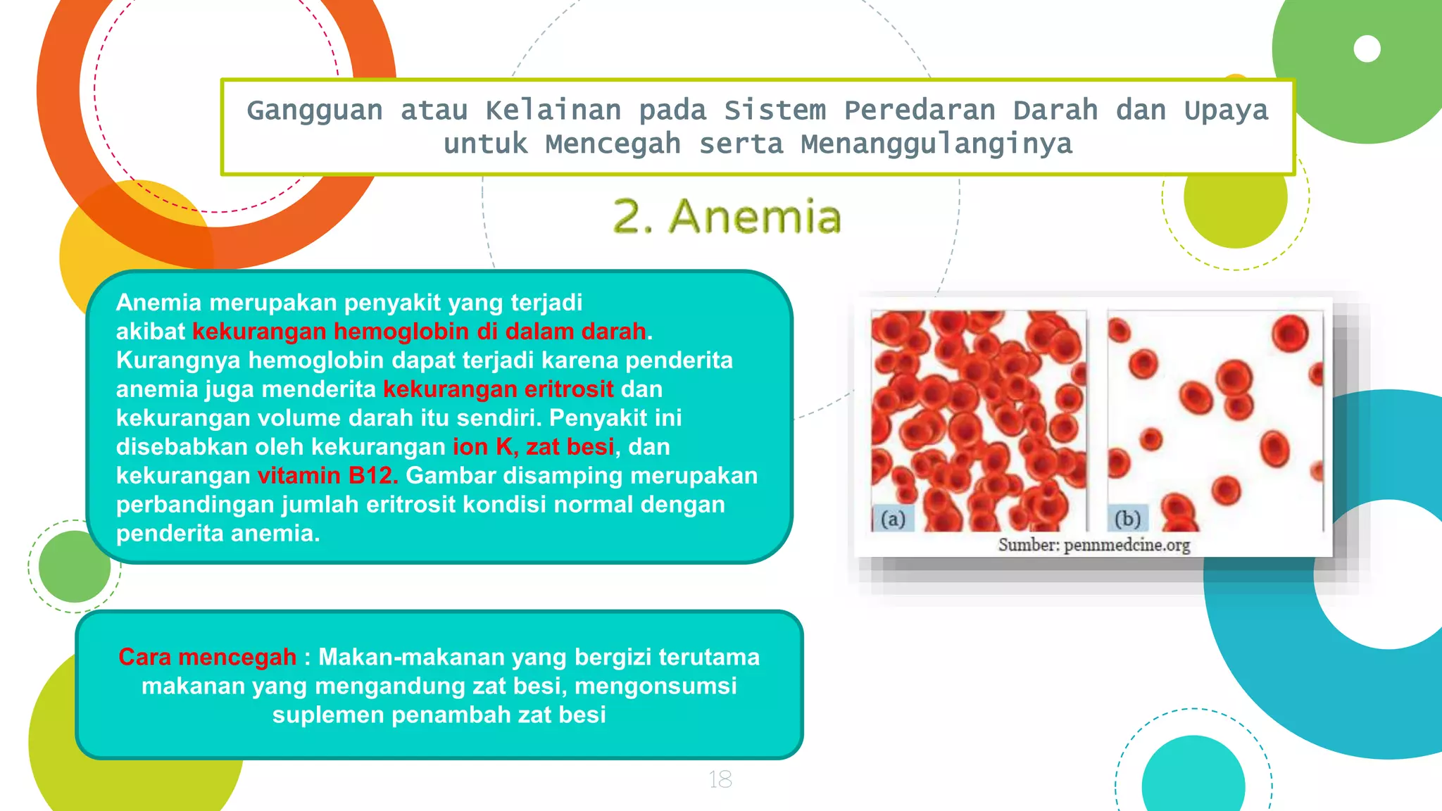 PPT SISTEM PEREDARAN DARAH.pptx