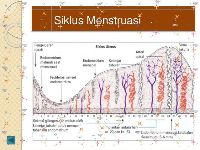 Tugas Uas Medtek Sistem Reroduksi