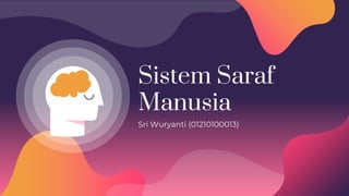 Sistem Saraf
Manusia
Sri Wuryanti (01210100013)
 