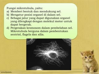 Fungsi mikrotubula, yaitu:
a) Memberi bentuk dan mendukung sel.
b) Mengatur posisi organel di dalam sel.
c) Sebagai jalur yang dapat digunakan organel
yang dilengkapi dengan molekul motor untuk
dapat bergerak.
d) Pergerakan kromosom dalam pembelahan sel.
Mikrotubula berguna dalam pembentukan
sentriol, flagela dan silia.
 