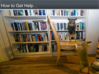 How to Get Help… <br />