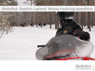 Skellefteå- Swedish Lapland- Moose trackning expedition
 