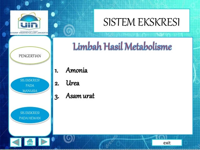 Ppt Sistem Ekskresi Nihayatu Thoyyibah