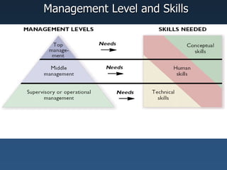 Management Level and Skills
 