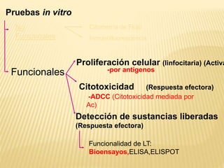 Pruebas in vitro
Funcionales
No
Funcionales
Citometría de Flujo
Inmunofluorescencia
Funcionalidad de LT:
Bioensayos,ELISA,ELISPOT
Detección de sustancias liberadas
(Respuesta efectora)
-ADCC (Citotoxicidad mediada por
Ac)
Citotoxicidad (Respuesta efectora)
-por antígenos
Proliferación celular (linfocitaria) (Activa
 