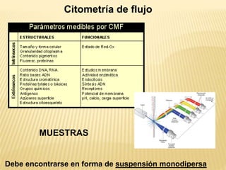 Citometría de flujo
Debe encontrarse en forma de suspensión monodipersa
MUESTRAS
 