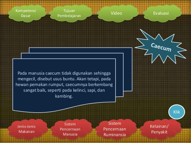 18+ Sistem pencernaan makanan pada hewan ruminansia ppt information