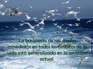 La búsqueda de resultados inmediatos en todos los ámbitos de la vida está generalizada en la sociedad actual  www.pescadepalamos.com 