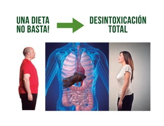 una dieta
no basta!
desintoxicación
total
 