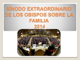 SÍNODO EXTRAORDINARIO 
DE LOS OBISPOS SOBRE LA 
FAMILIA 
2014 
 